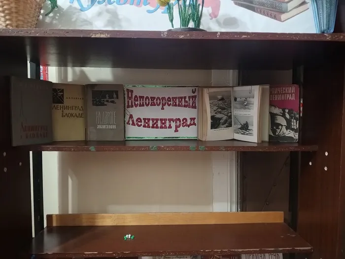 IMG_20260121_104318_008