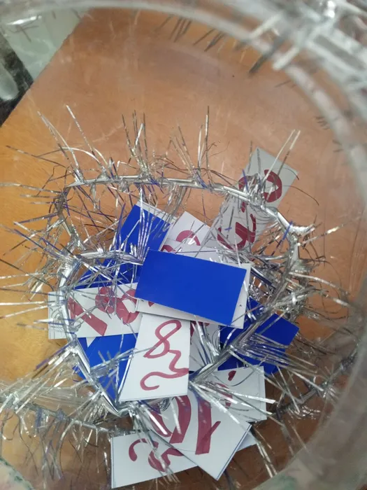 IMG_20251205_133045_117