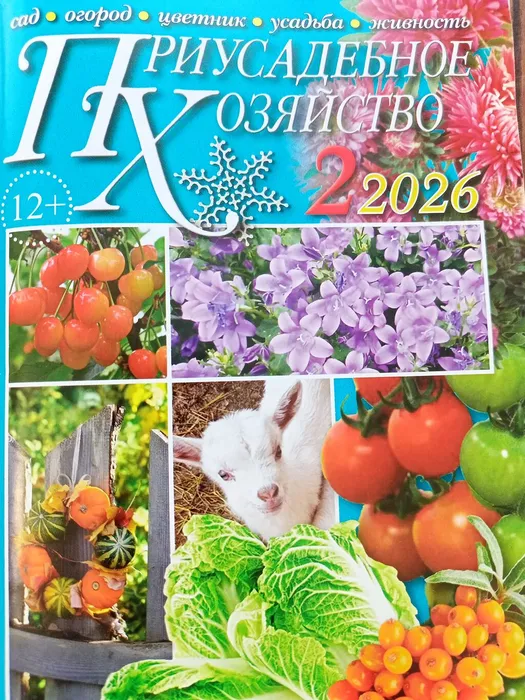 IMG20260730114740
