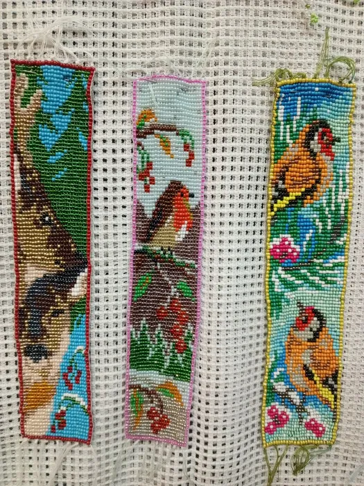 IMG_20251216_130319_136