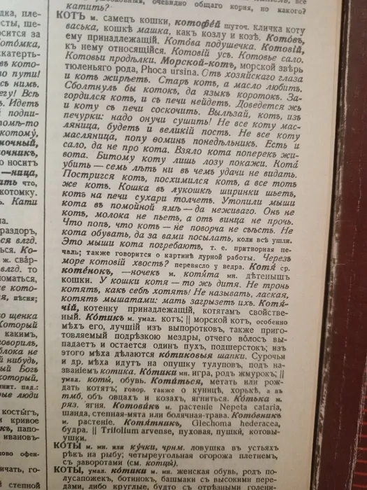 IMG_20251119_162237_113