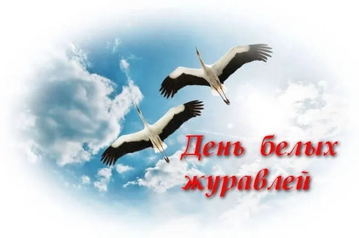 1674141290_gas-kvas-com-p-den-belikh-zhuravlei-risunki-31