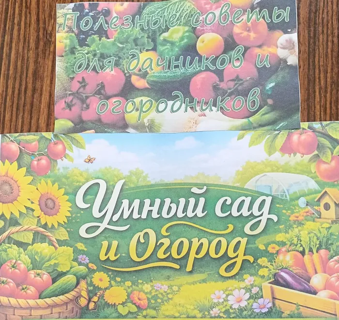 IMG20260730113041[1]
